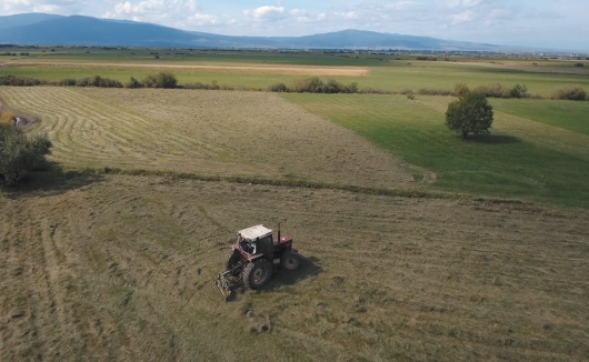Stabil támogatási keret a legelőt használó gazdáknak 2028-ig